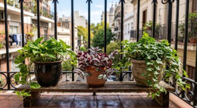 el-sorprendente-motivo-por-el-que-un-jardinero-aconseja-colocar-tres-plantas-juntas-foto-gemini-OMVO3ZQKE5C3PISSWBMI6NNHGQ