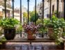 el-sorprendente-motivo-por-el-que-un-jardinero-aconseja-colocar-tres-plantas-juntas-foto-gemini-OMVO3ZQKE5C3PISSWBMI6NNHGQ