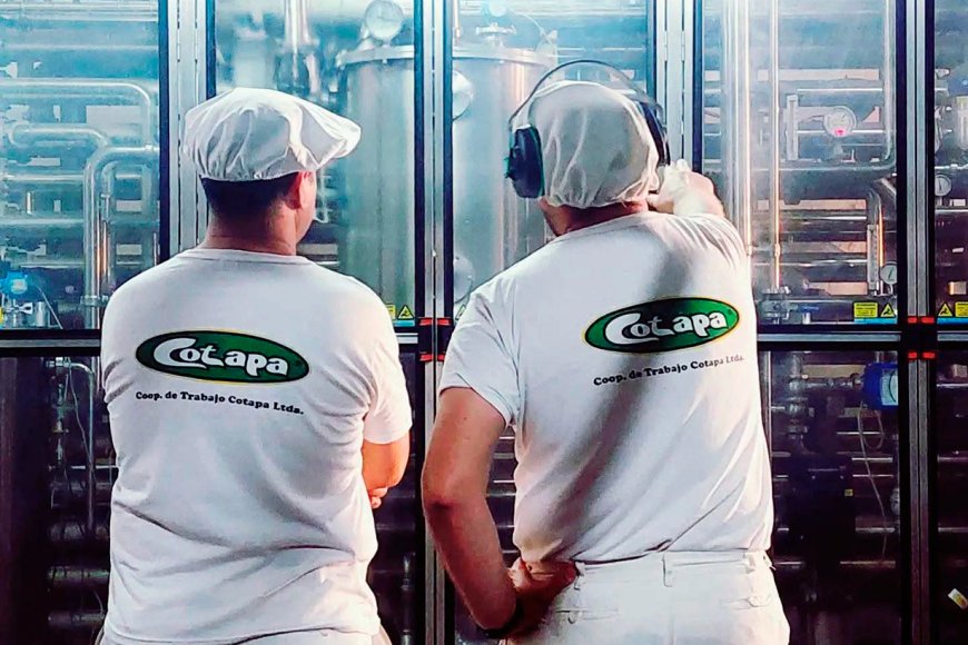 Recuperada por sus trabajadores, Cotapa celebra sus 62 años