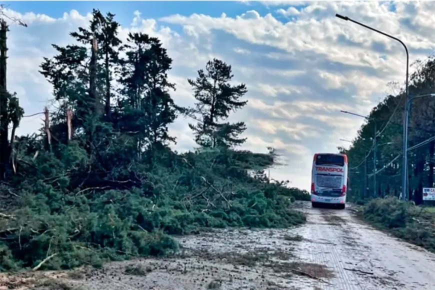 Fuerte tormenta provocó graves destrozos y dejó a toda Concordia sin luz