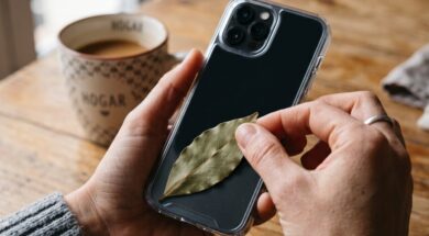 llevar-una-hoja-de-laurel-dentro-de-al-funda-del-celular-para-que-sirve-y-por-que-lo-recomienda-el-feng-shui-foto-imagen-generada-con-ia-gemini-KANLSJEND5D6VG76V6HZPGZRFU