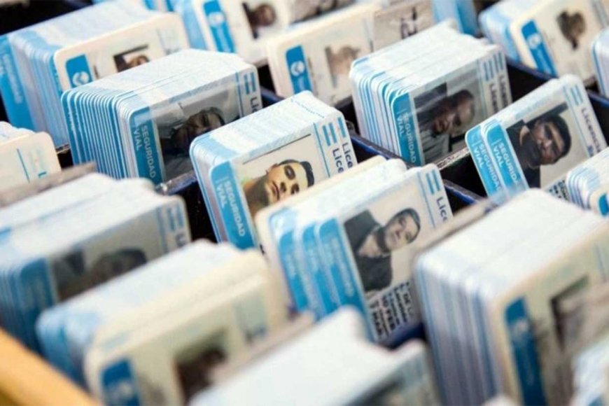 Auditoría detectó irregularidades y suspendió la emisión de licencias en un municipio