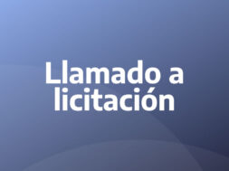 licitación