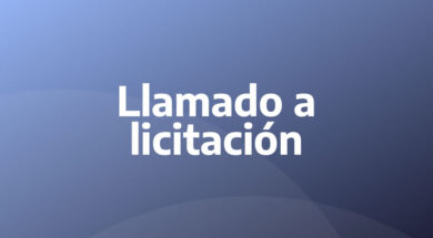 licitación