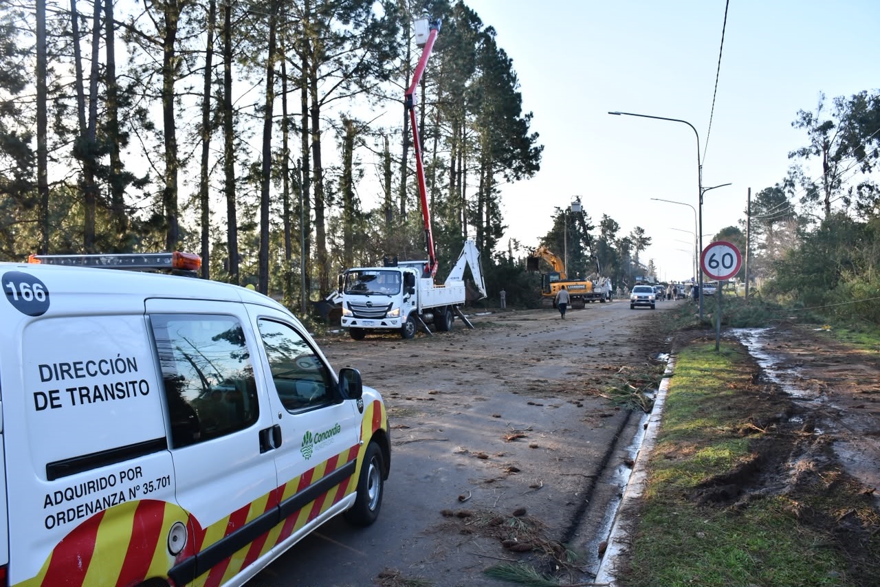 La Municipalidad mantiene activas todas sus áreas para responder demandas por la tormenta