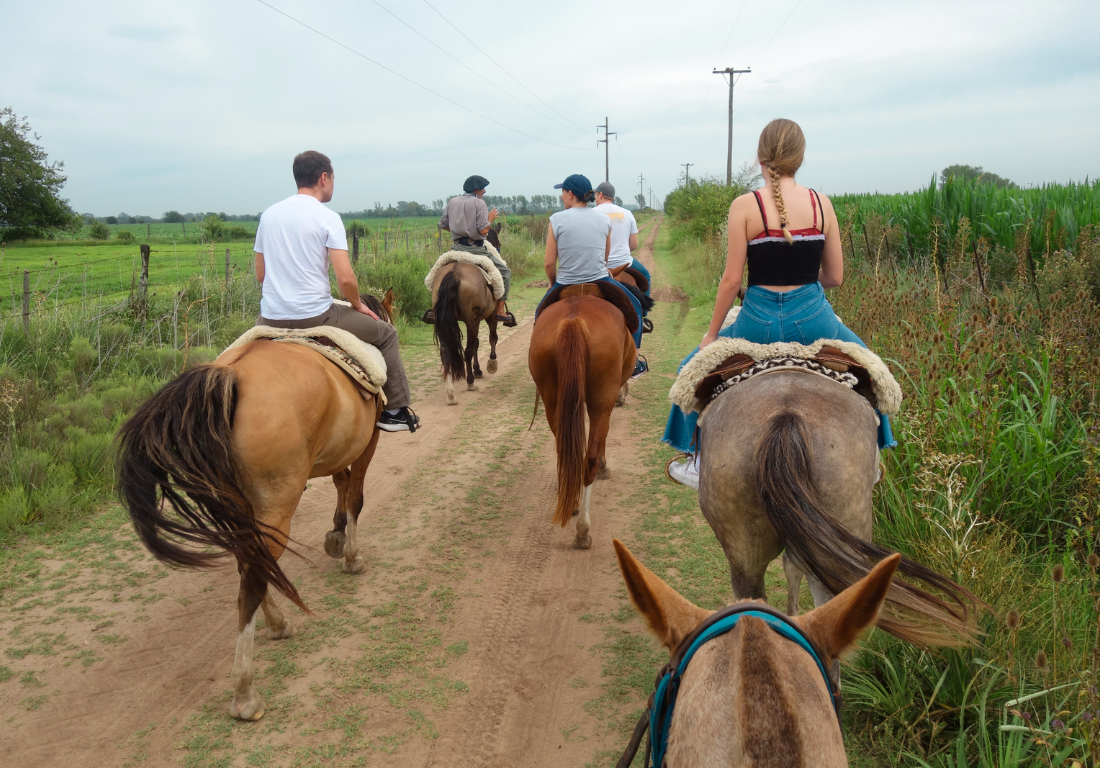 “El espejo que transforma”: una jornada para conectar con las emociones a través de los caballos y el Qi Gong