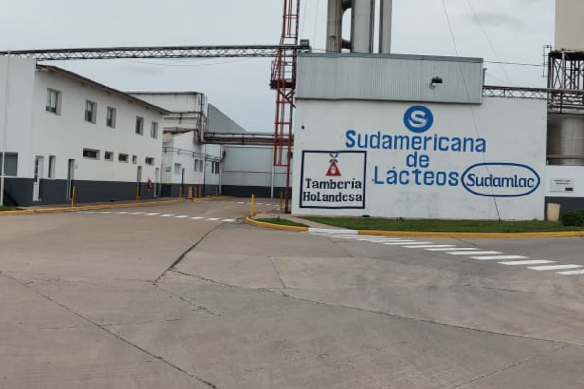Nuevo dueño: comienza a producir 350 toneladas de quesos por mes la planta láctea paralizada durante seis meses