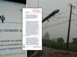 la gente opina (5)