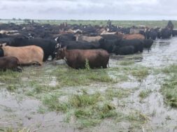 las-inundaciones-dejaron-campos-aislados-y-SGPHIBWIFJCDPMZ5JR4YABVNJU