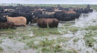 las-inundaciones-dejaron-campos-aislados-y-SGPHIBWIFJCDPMZ5JR4YABVNJU