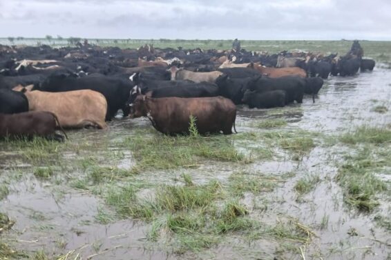las-inundaciones-dejaron-campos-aislados-y-SGPHIBWIFJCDPMZ5JR4YABVNJU