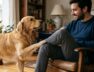 los-veterinarios-explican-por-que-los-perros-ponen-una-pata-encima-de-sus-duenos-muchas-veces-no-es-un-pedido-de-comida-foto-imagen-generada-con-ia-gemini-LX4LKIEPARA2XOTAO6DBING6D4