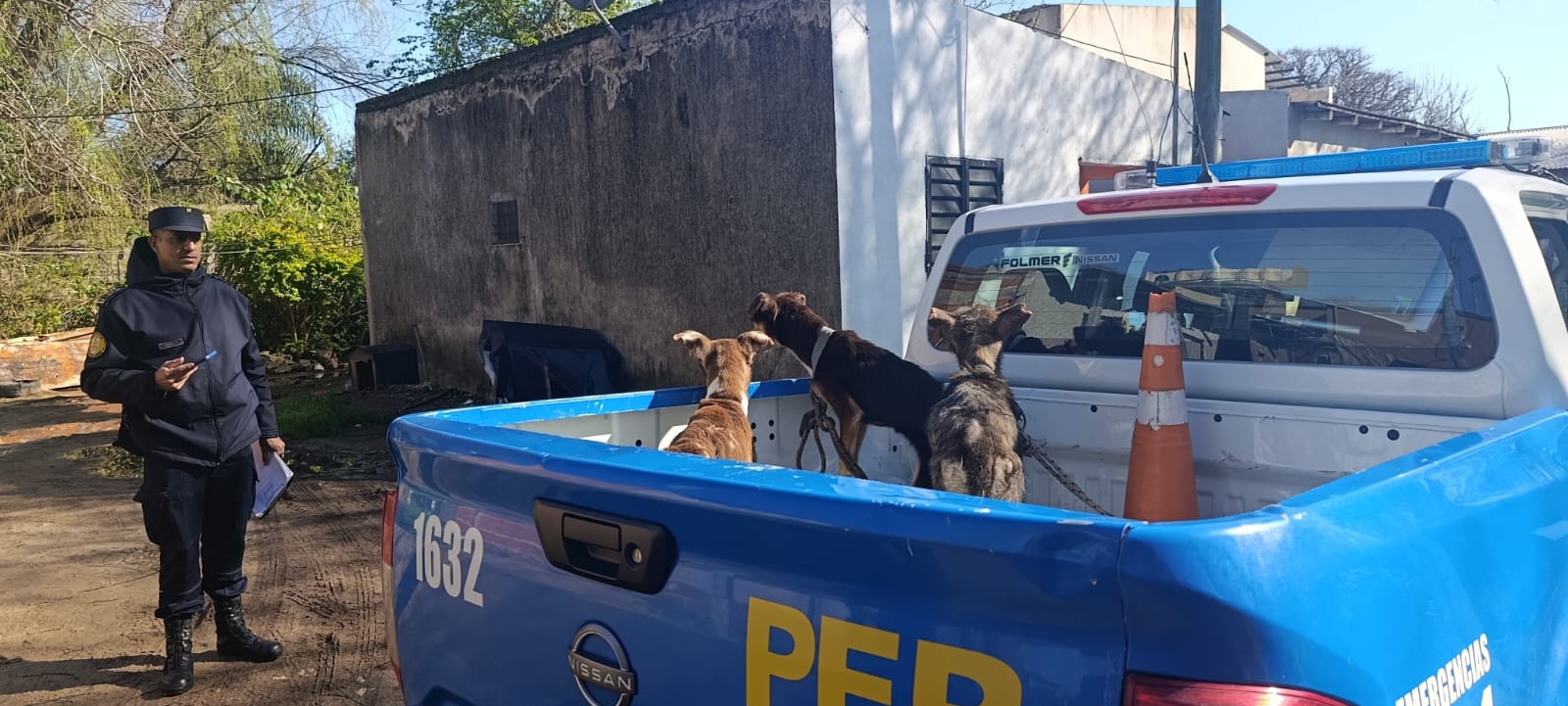 Allanaron una vivienda y rescataron a tres perros en estado de desnutrición