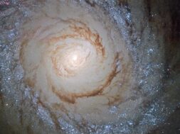 potw1542a_0-jpg