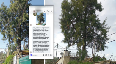 solicitud (2)