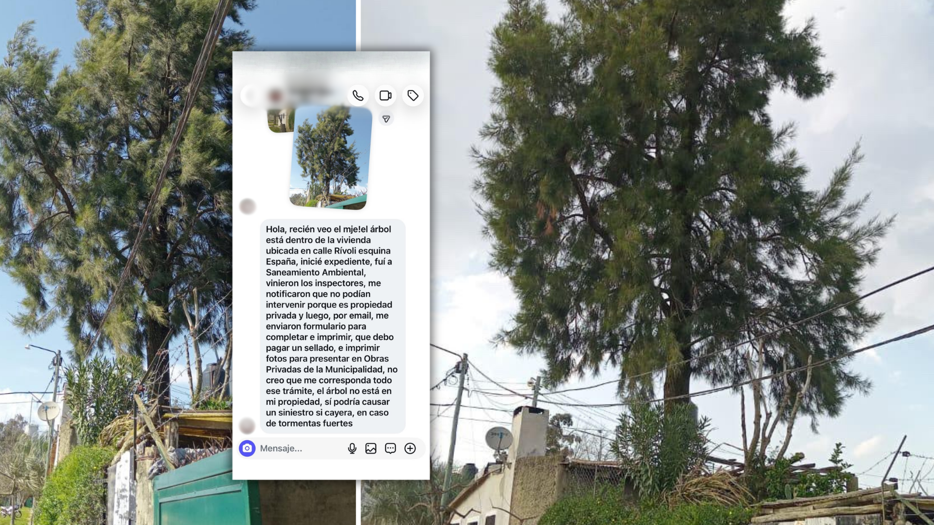 Solicitud de vecino N° 138: riesgo de posible caída de árbol ubicado en una propiedad privada