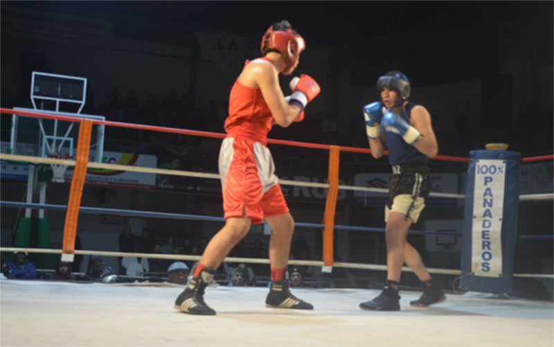 Con siete peleas amateur y un combate profesional, Concordia se prepara para una noche de boxeo
