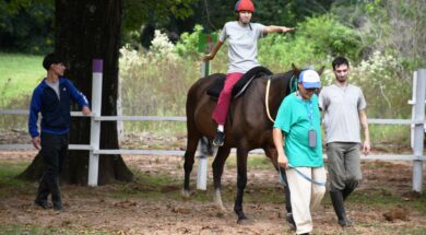 Equinoterapia-2