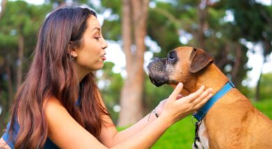 el-experto-aseguro-que-los-perros-entienden-mejor-las-palabras-dichas-con-amabilidad-foto-adobe-stock-33WBMRKKDRHWJBNLC7KHD36ICU