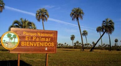 el-palmar-3-1024×678