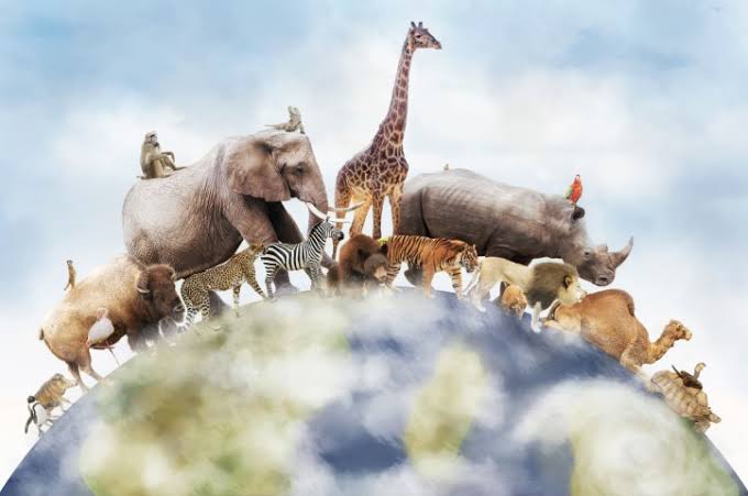 Día Mundial de los Animales