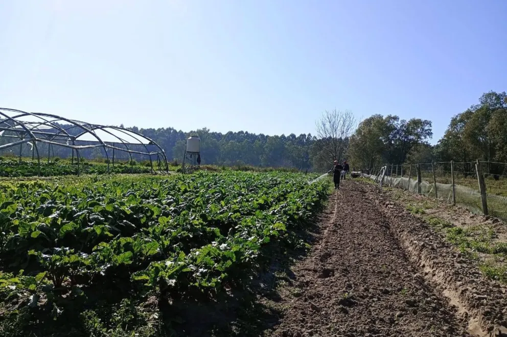 Productores entrerrianos pidieron medidas urgentes ante el avance del delito rural