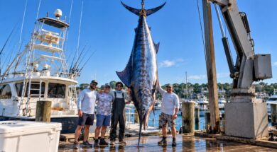 un-marlin-azul-de-571-kilos-fue-capturado-frente-a-las-costas-de-massachusetts-estados-unidos-imagen-ilustrativa-generada-con-ia-64TAQBWLLZBODAYJEYTHGIXDGU
