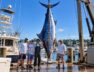 un-marlin-azul-de-571-kilos-fue-capturado-frente-a-las-costas-de-massachusetts-estados-unidos-imagen-ilustrativa-generada-con-ia-64TAQBWLLZBODAYJEYTHGIXDGU