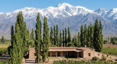 una-estancia-de-san-juan-tenia-80000-hectareas-y-producia-quesos-y-dulces-hoy-sus-tierras-forman-parte-de-un-parque-nacional-foto-imagen-generada-con-ia-gemini-DWGX2SG36NFA5LLQPZSL6QN32I